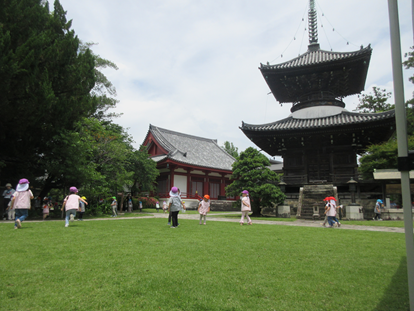 6IMG_3287.png